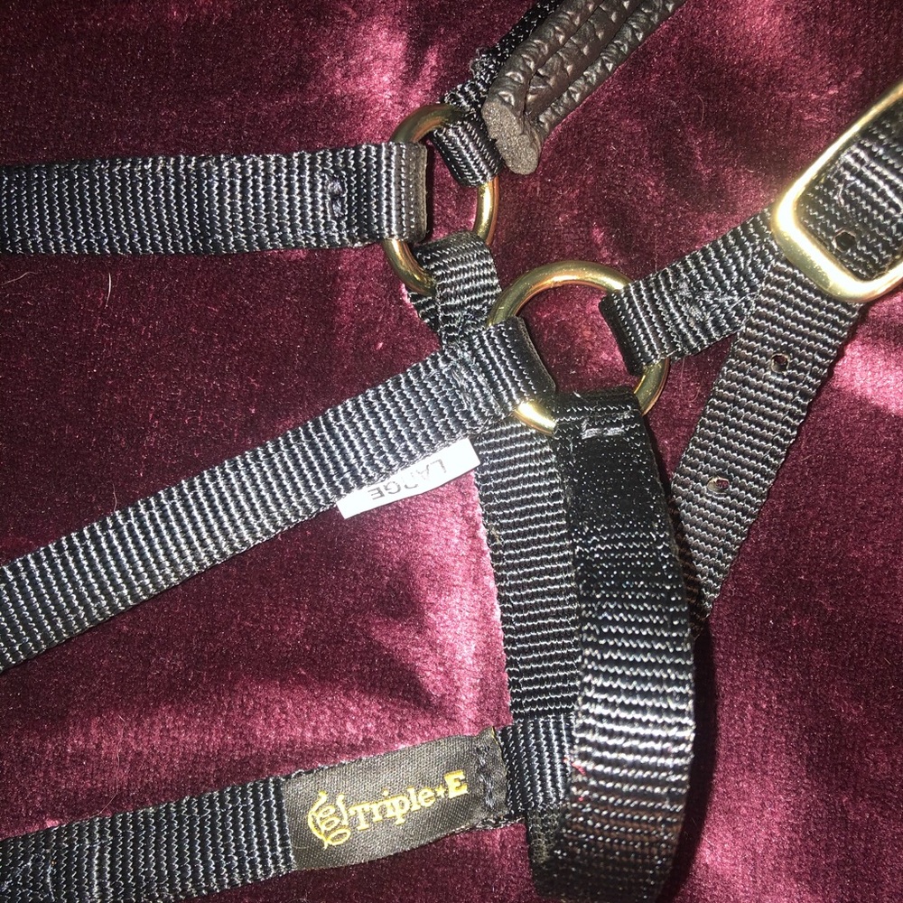 Mini halter - Picture 2 of 2
